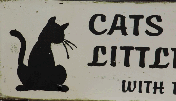 Plakette „Katzen sind nur kleine Leute“.