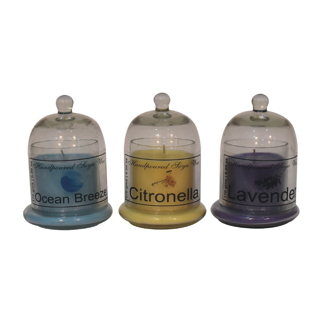 Bell Jar Candle Set of 3 (Citronella, Lavender, Summer Tides)